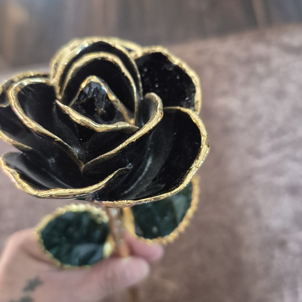 24k black diamond dipped rose